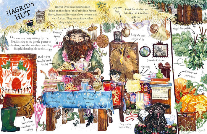 Book - Pocket Potters: Hagrid