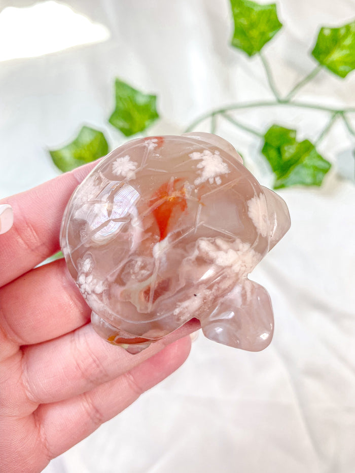 Flower Agate Turtle #2