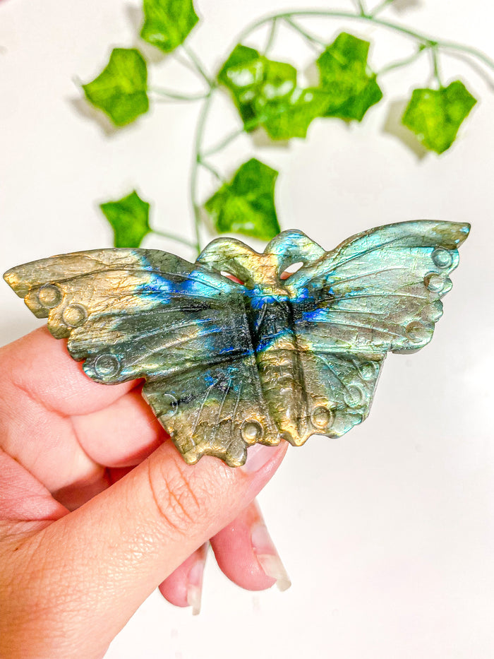 Labradorite Butterfly
