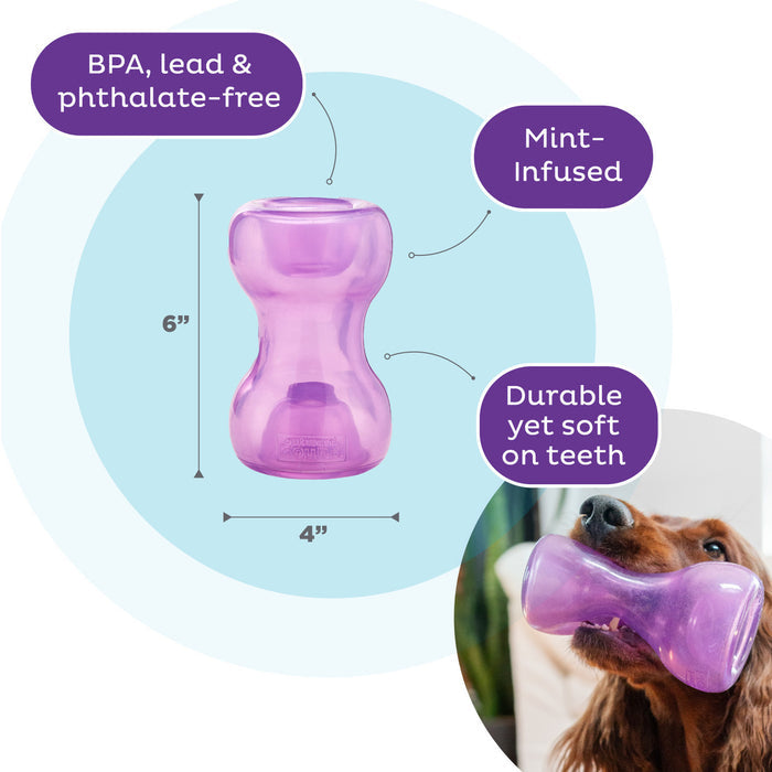 Planet Dog Orbee Tuff Double Snoop Interactive Treat Dispensing Dog Toy Purple - Dog.Dog.Cat.