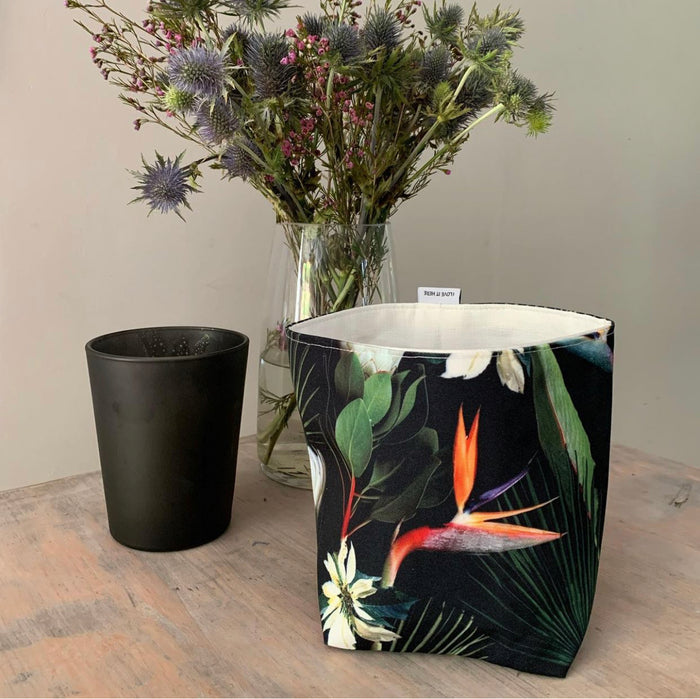 Strelitzia Soft Pots