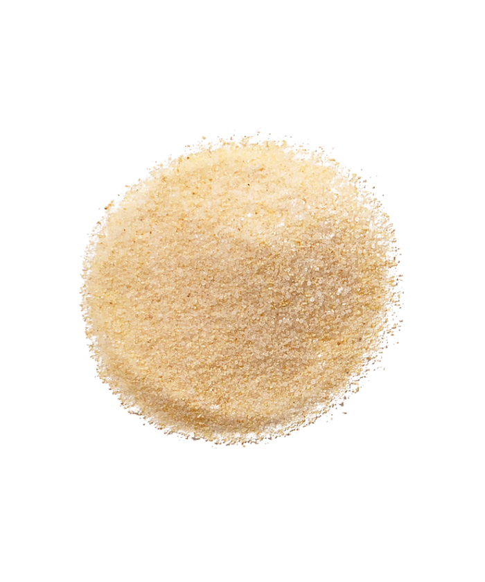 Wayzata Bay Garlic Salt