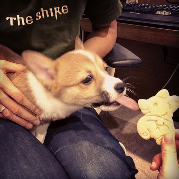 3pcs Set Cute Corgi Molds