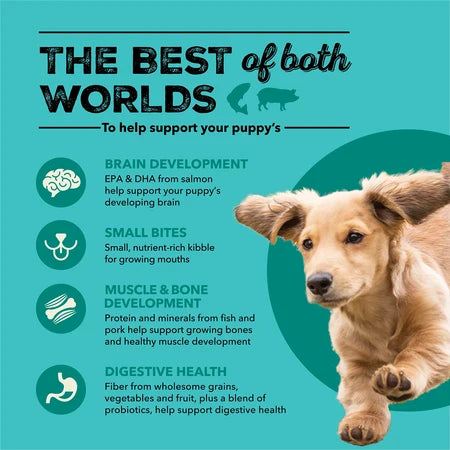 Acana Wholesome Grains, Puppy Sea & Farm Recipe Dry Dog Food - Dog.Dog.Cat.