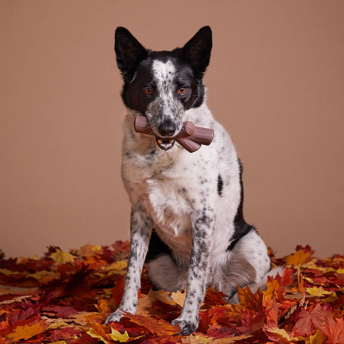 BARK Fall Fetch Stick Super Chewer Dog Toy - Dog.Dog.Cat.