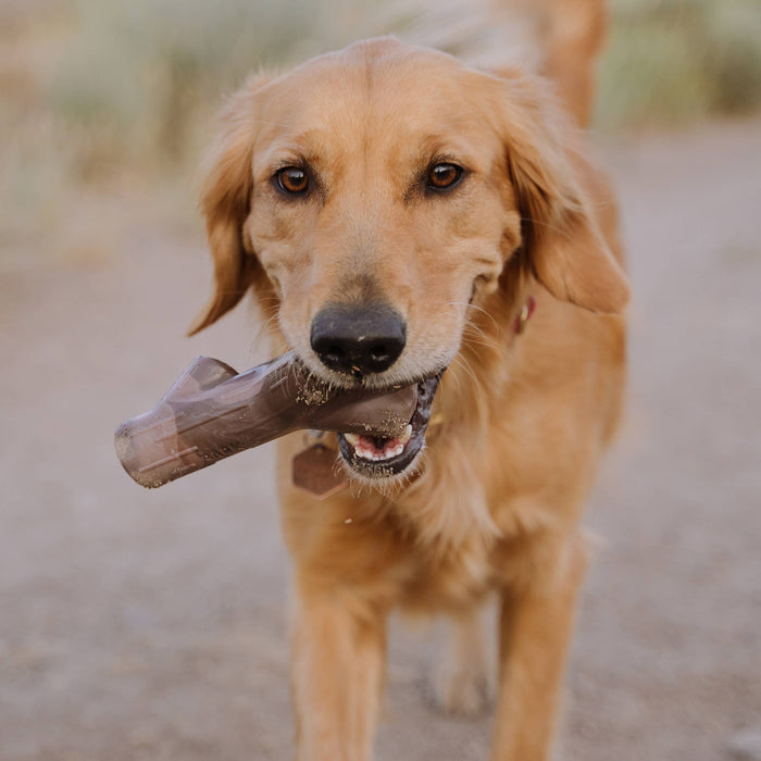 BARK Fall Fetch Stick Super Chewer Dog Toy - Dog.Dog.Cat.