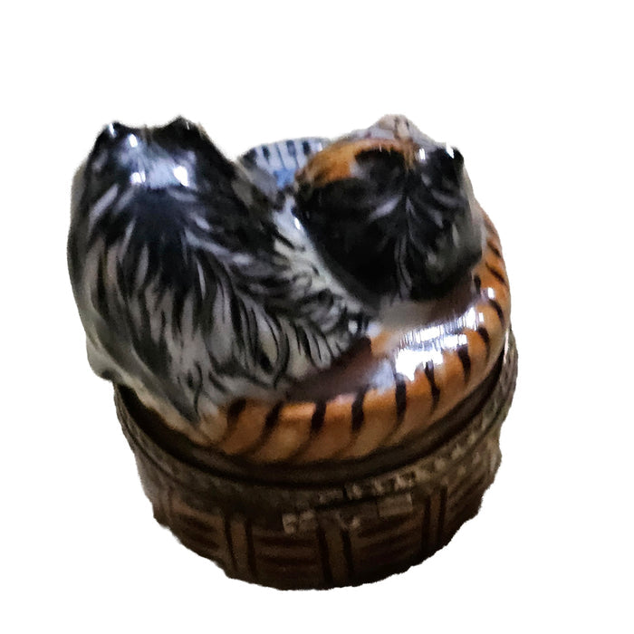 Rockin Roll Cats Limoges Delight Porcelain Limoges cat cats French Trinket Box