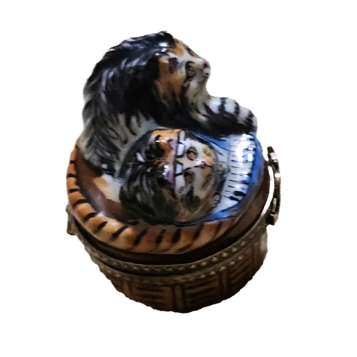 Rockin Roll Cats Limoges Delight Porcelain Limoges cat cats French Trinket Box