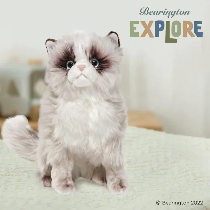 Bearington - Himalayan Cat Plush Toy 519819