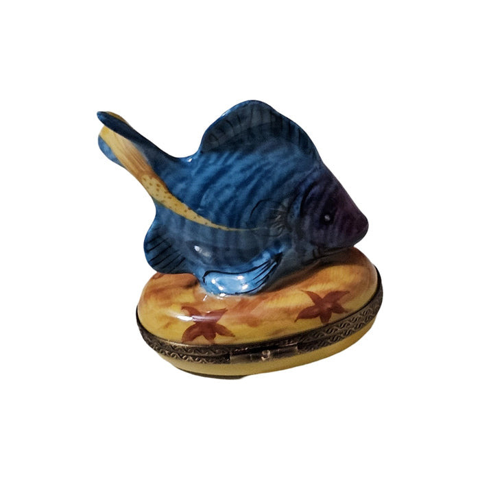 Blue Fish Figurine Box Porcelain Limoges Ocean beach fish French Trinket Box