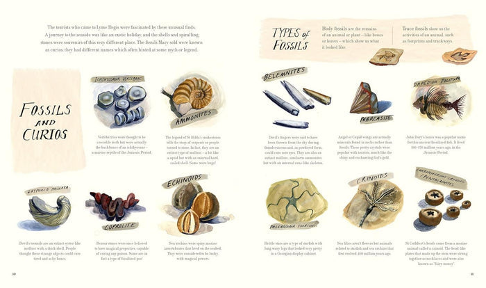 Book - Fossil Hunter: How Mary Anning Unearthed The Truth