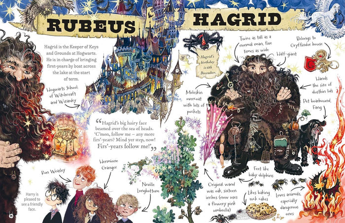 Book - Pocket Potters: Hagrid