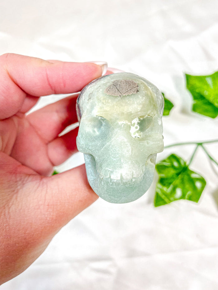 Caribbean Calcite Skull
