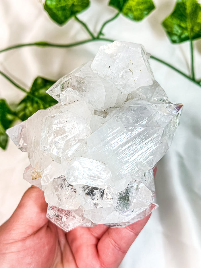 Clear Apophyllite Cluster #1 (AAA)