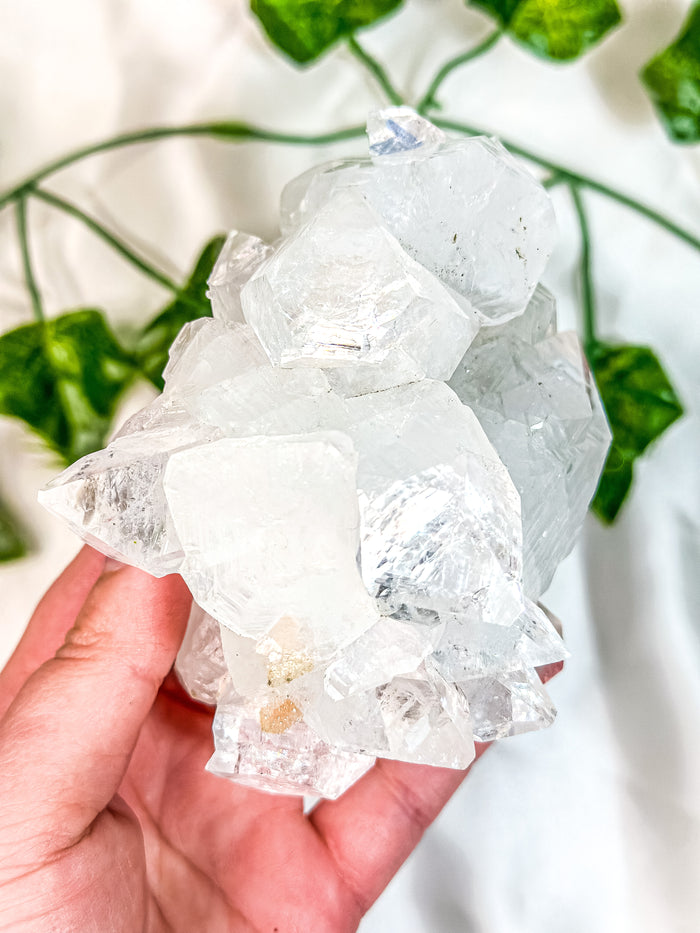 Clear Apophyllite Cluster #1 (AAA)