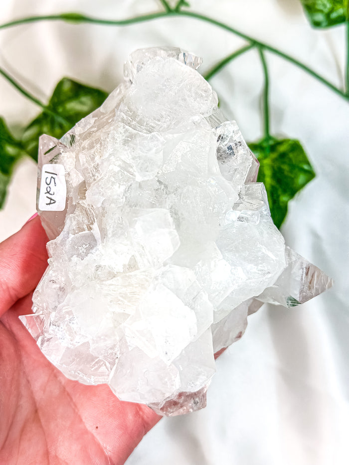 Clear Apophyllite Cluster #1 (AAA)