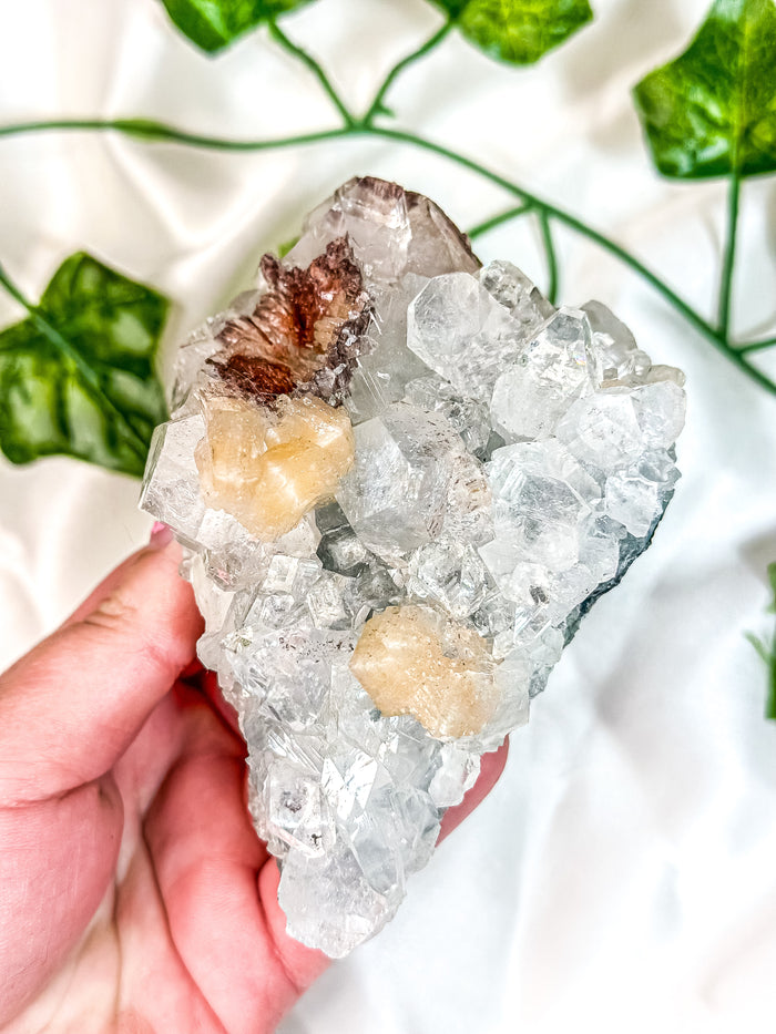 Clear Apophyllite Cluster on Blue Chalcedony with Pink Stilbite & Red Heulandite Mineral Specimen (F)