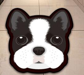Bosston Terrier / 60x60cm