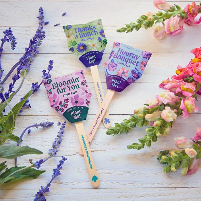 Modern Sprout Flower Seed Pops