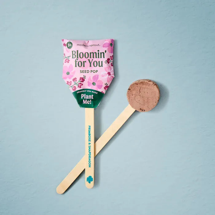 Modern Sprout Bloomin' For You Flower Seed Pops