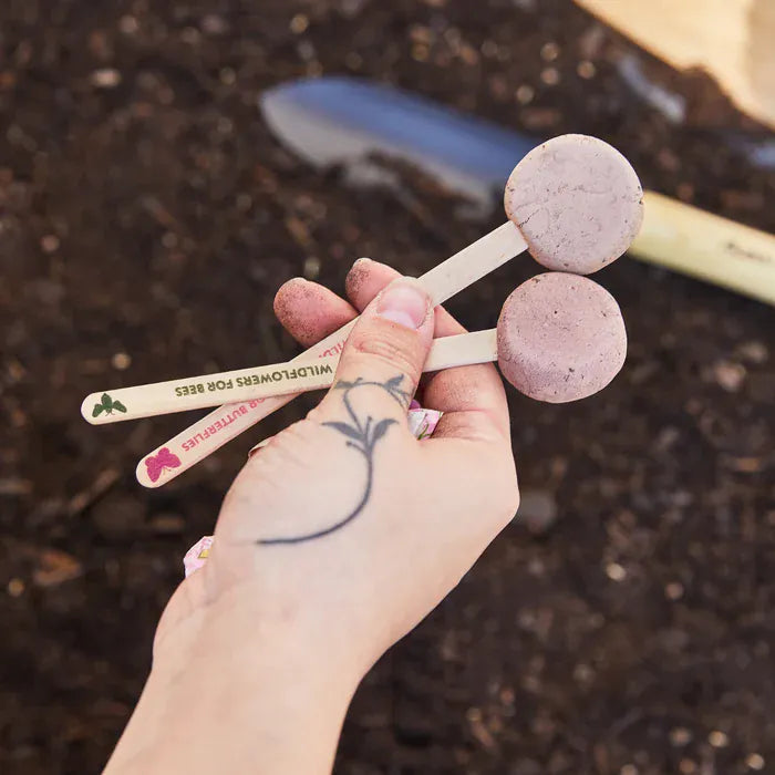 Modern Sprout Flower Seed Pops