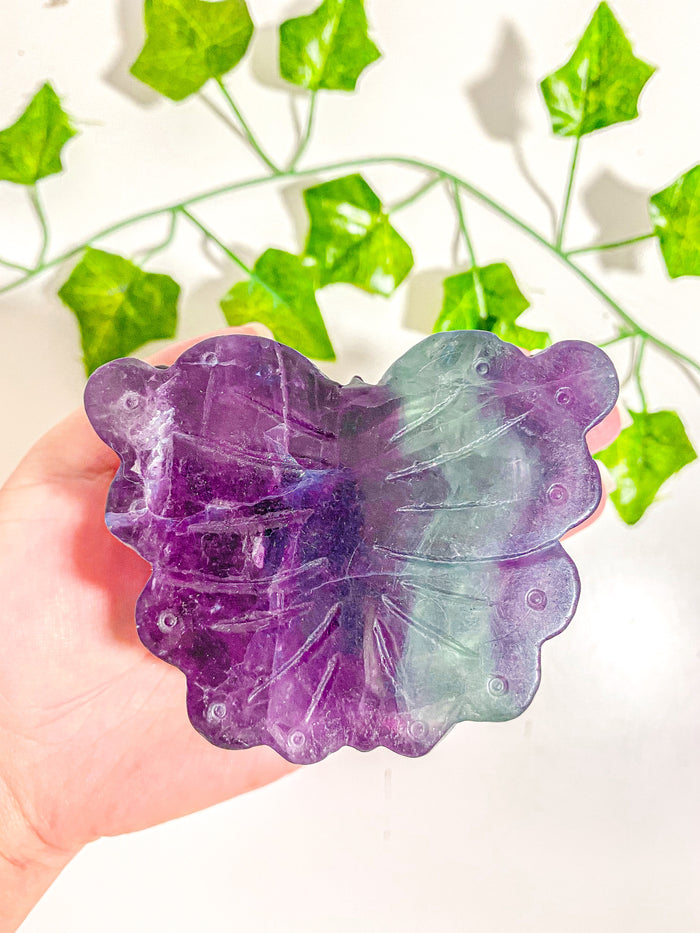 Fluorite Butterfly Jewelry Box #3