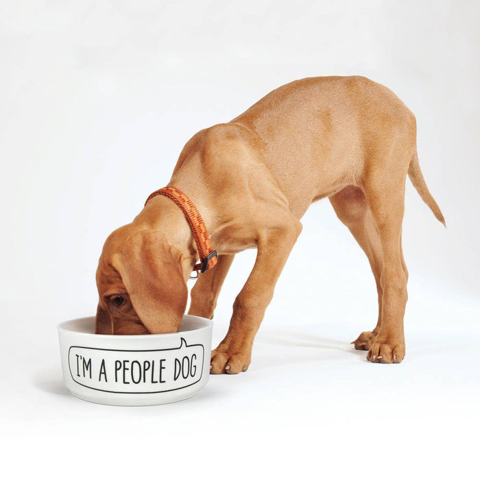 Fred & Friends - Howligans - Mug + Dog Bowl - Dog Person - Dog.Dog.Cat.