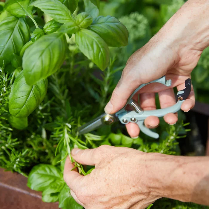Modern Sprout Garden Shears - Sage