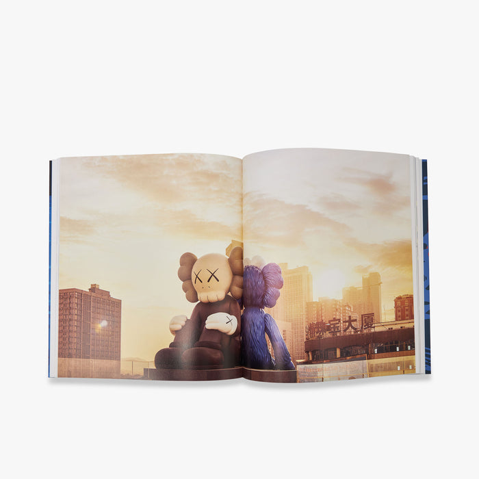 KAWS (Phaidon Contemporary Artists Series)