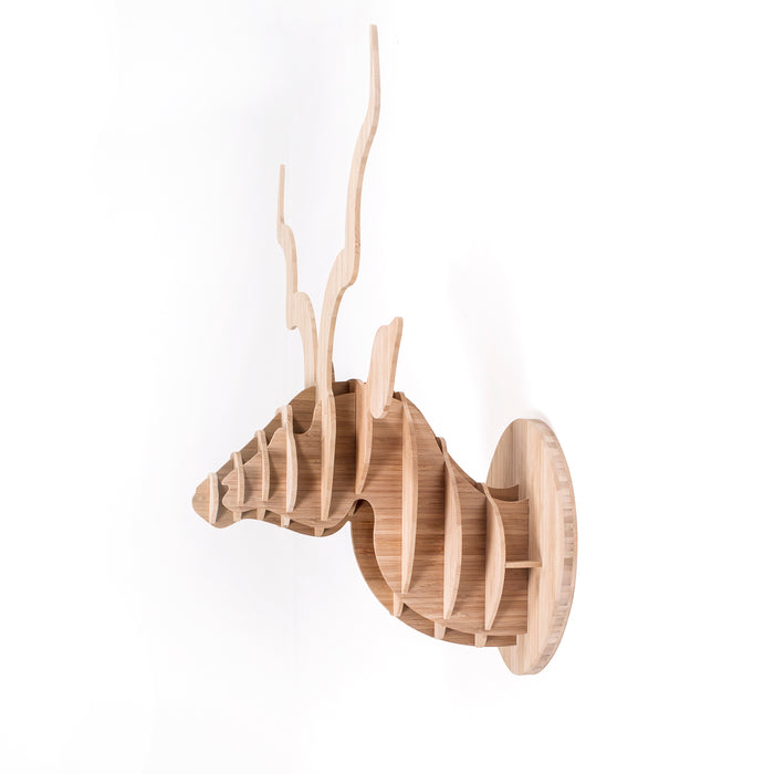 Kudu Trophy Head in Bamboo