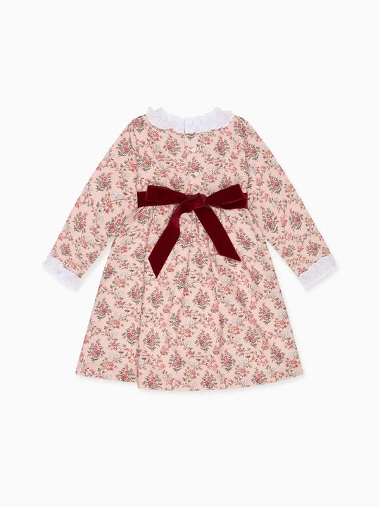 La Coqueta Silas Dress in Rose Floral