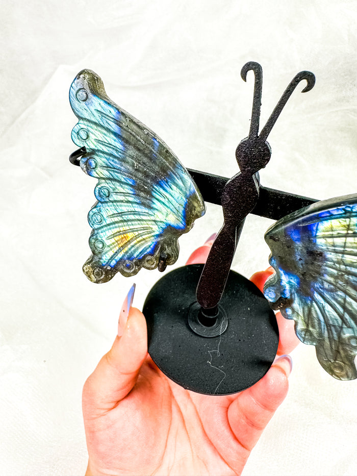 Labradorite Butterfly Wings on Stand (40V)