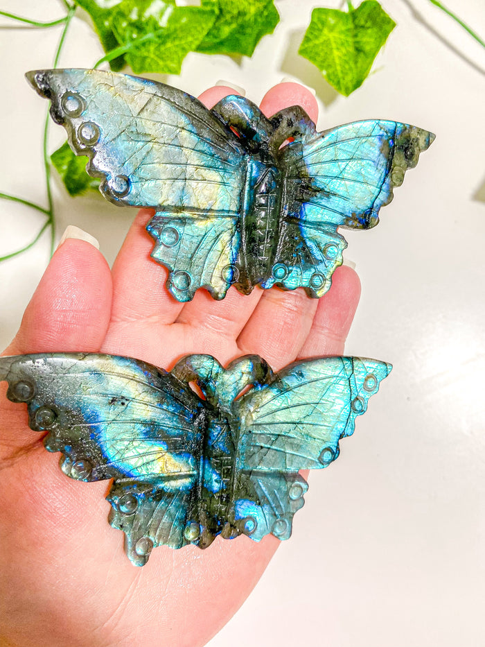 Labradorite Butterfly