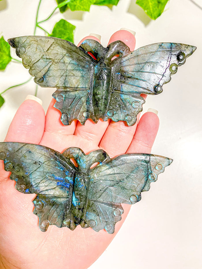 Labradorite Butterfly