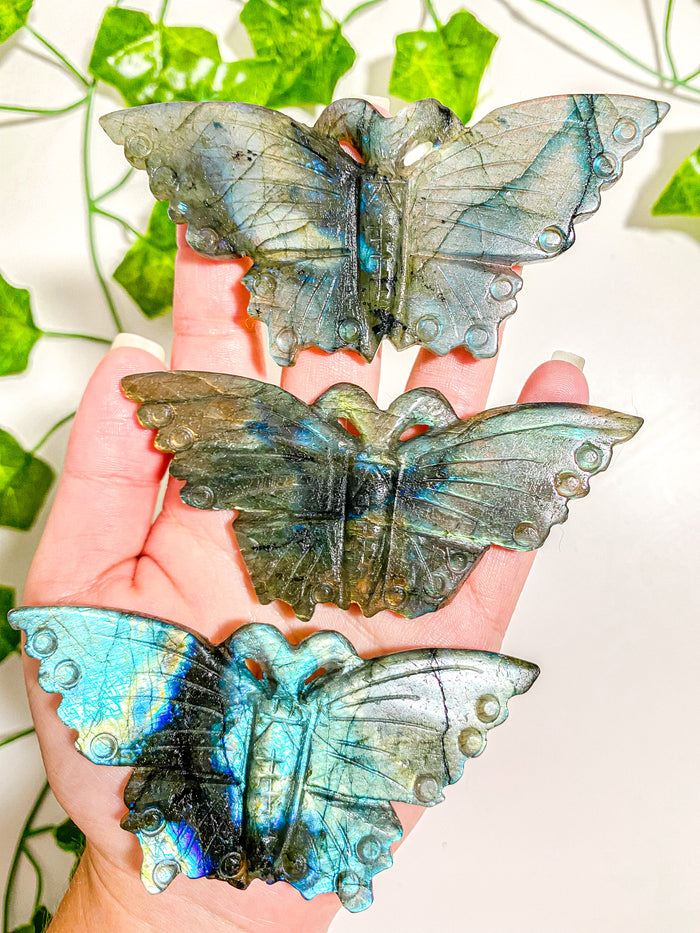 Labradorite Butterfly