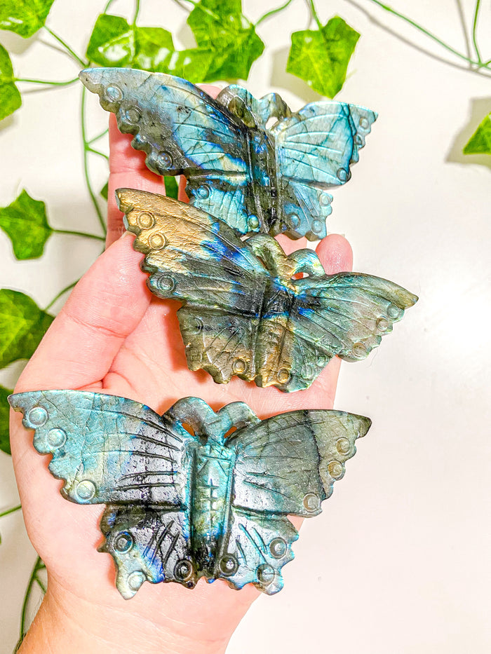 Labradorite Butterfly
