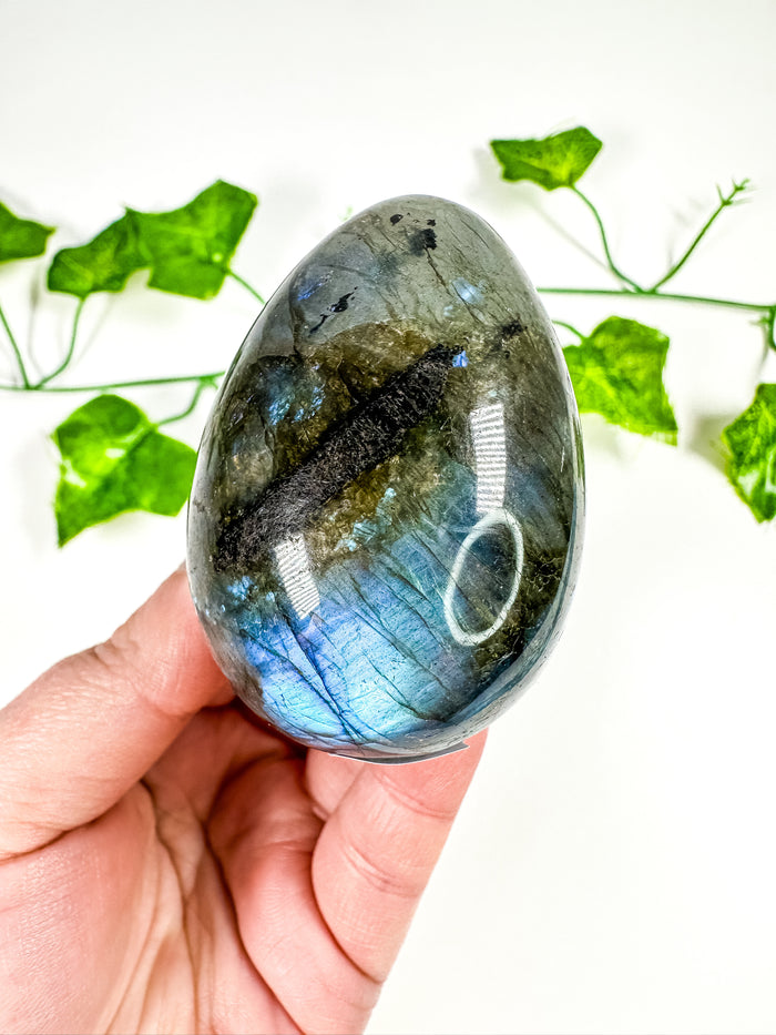 Labradorite Egg (26A)