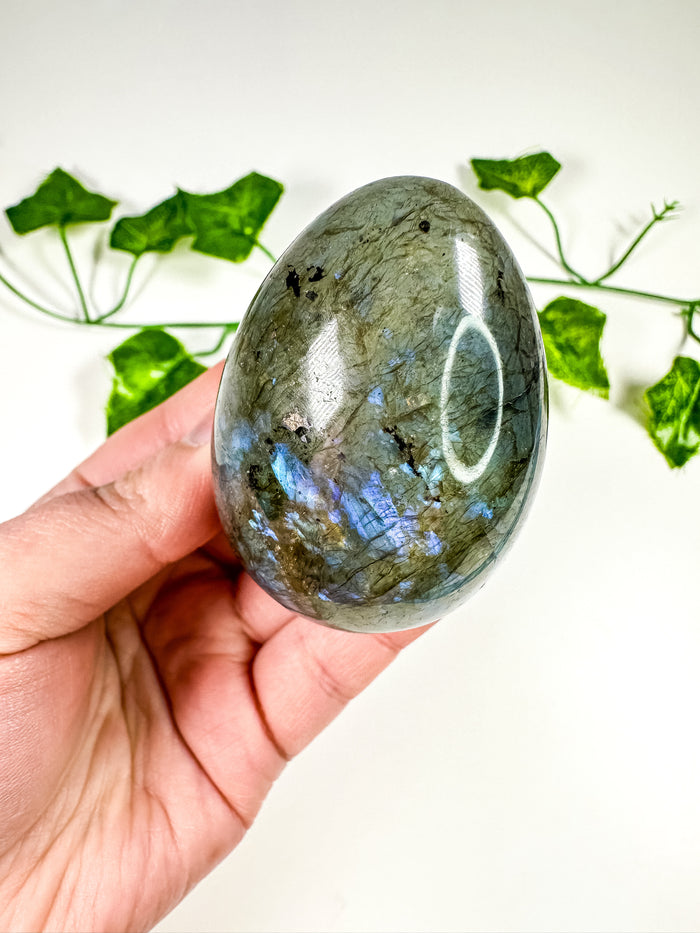 Labradorite Egg (26A)