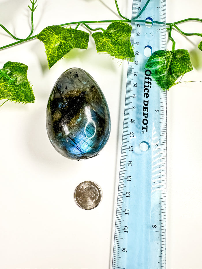 Labradorite Egg (26A)