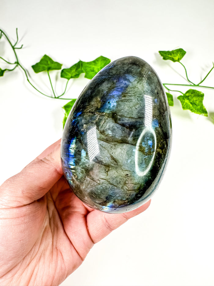 Labradorite Egg (44X)