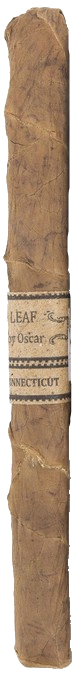 Leaf by Oscar Lancero Connecticut