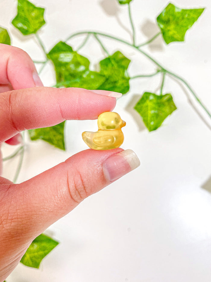 Mini Fluorite Duck