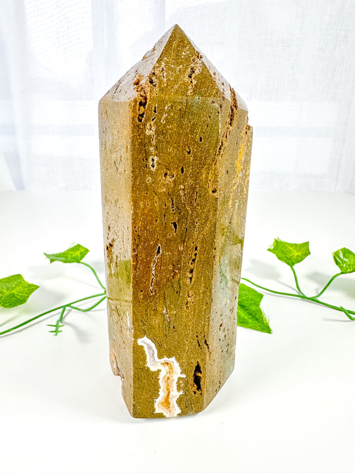 Ocean Jasper Tower (43B)