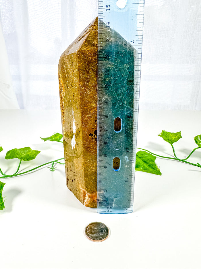 Ocean Jasper Tower (43B)