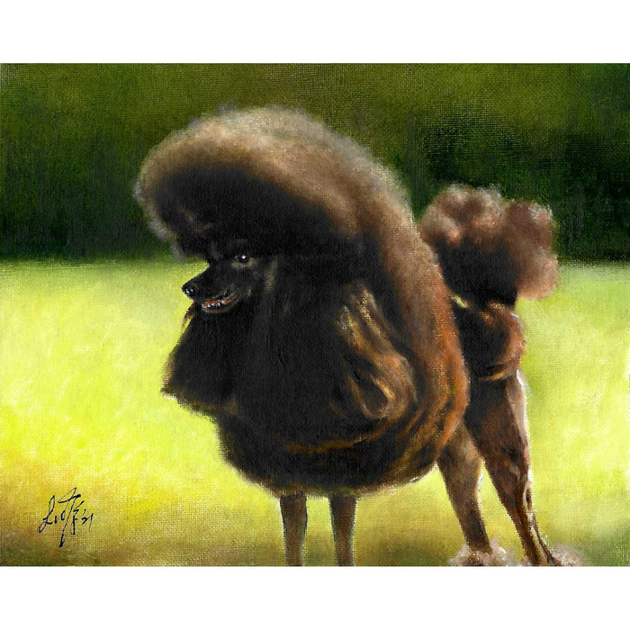 Original Dog Portrait Oil Painting - Black Poodle