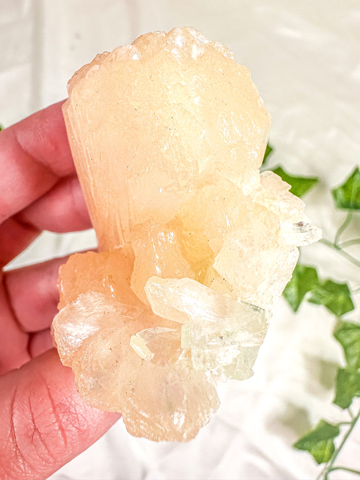 Peach Stilbite with Green Apophyllite and Okenite Mineral Specimen #9