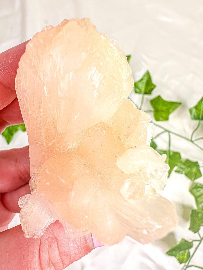 Peach Stilbite with Green Apophyllite and Okenite Mineral Specimen #9
