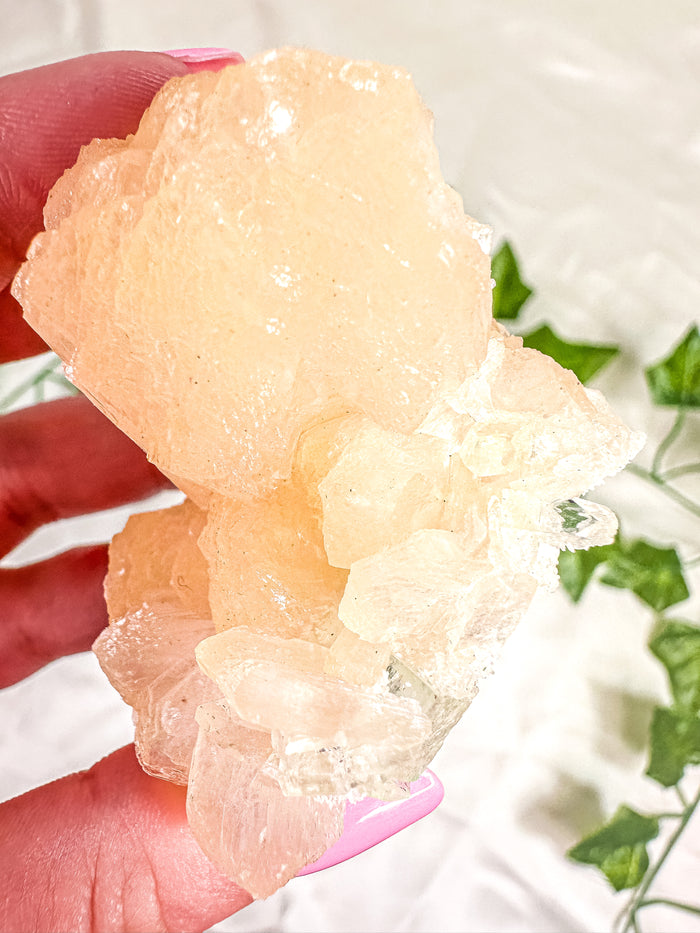 Peach Stilbite with Green Apophyllite and Okenite Mineral Specimen #9