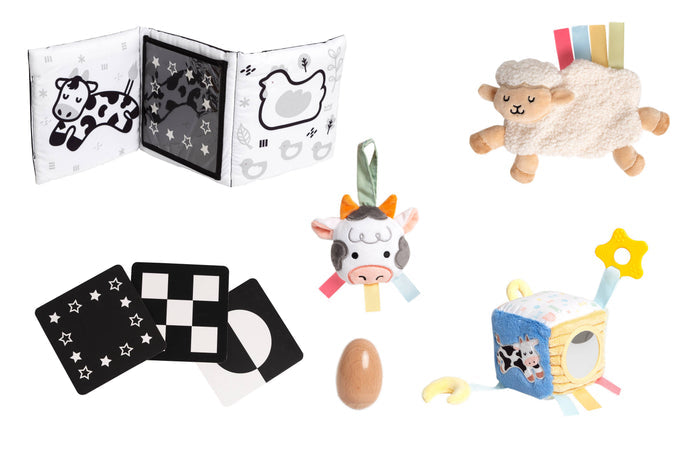 Pearhead Newborn Sensory Learning Toy Set