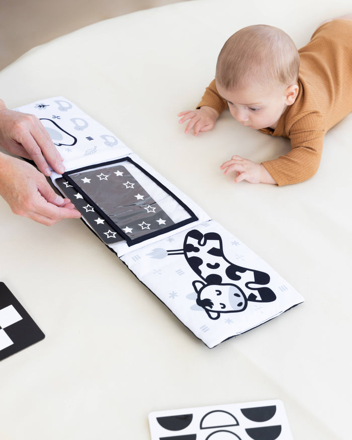 Pearhead Newborn Sensory Learning Toy Set